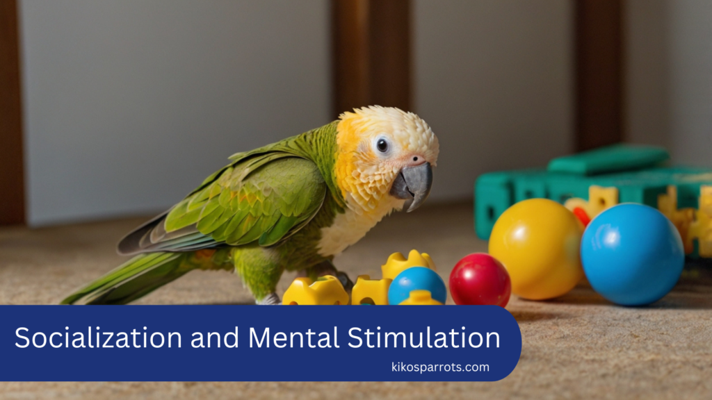 Socialization and Mental Stimulation