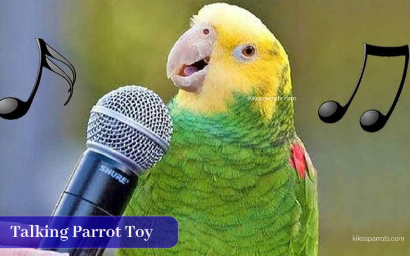 Talking Parrot Toy